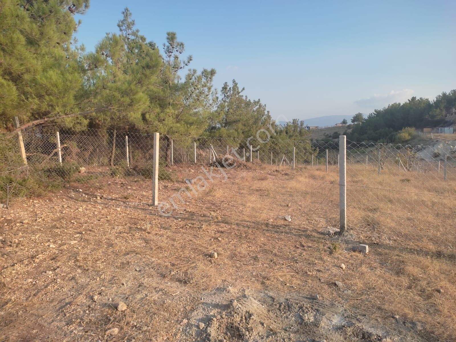 Körfez Manzaralı Damlacık Yaylada Tapulu - Görsel 11