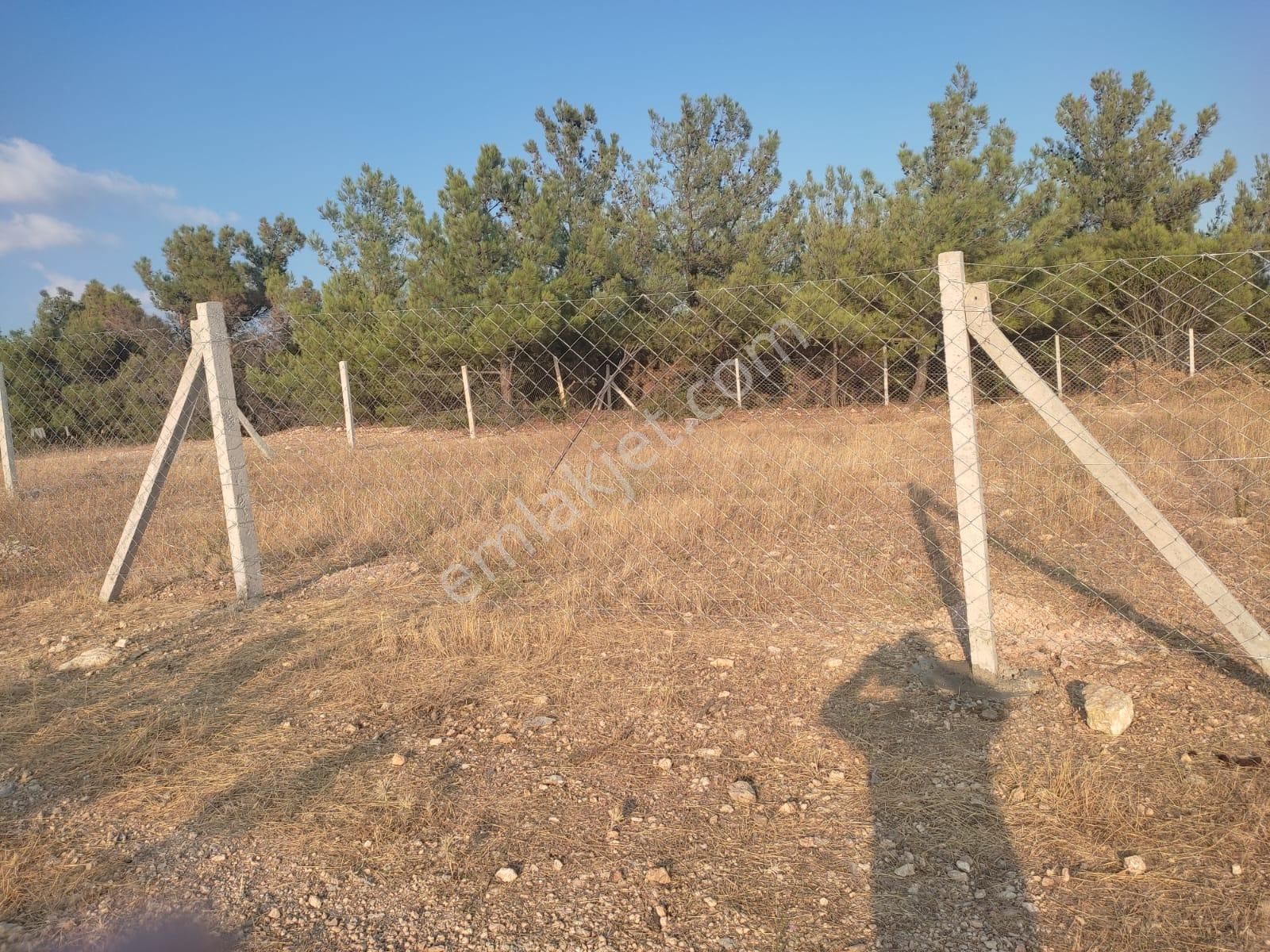 Körfez Manzaralı Damlacık Yaylada Tapulu - Görsel 14