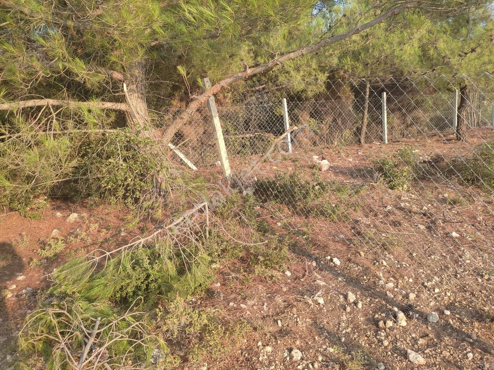 Körfez Manzaralı Damlacık Yaylada Tapulu - Görsel 9