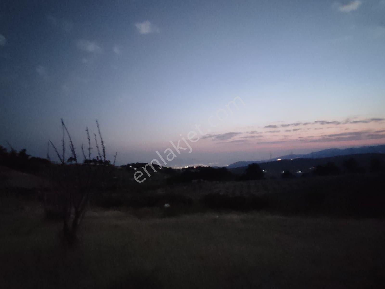 Körfez Manzaralı Damlacık Yaylada Tapulu - Görsel 16