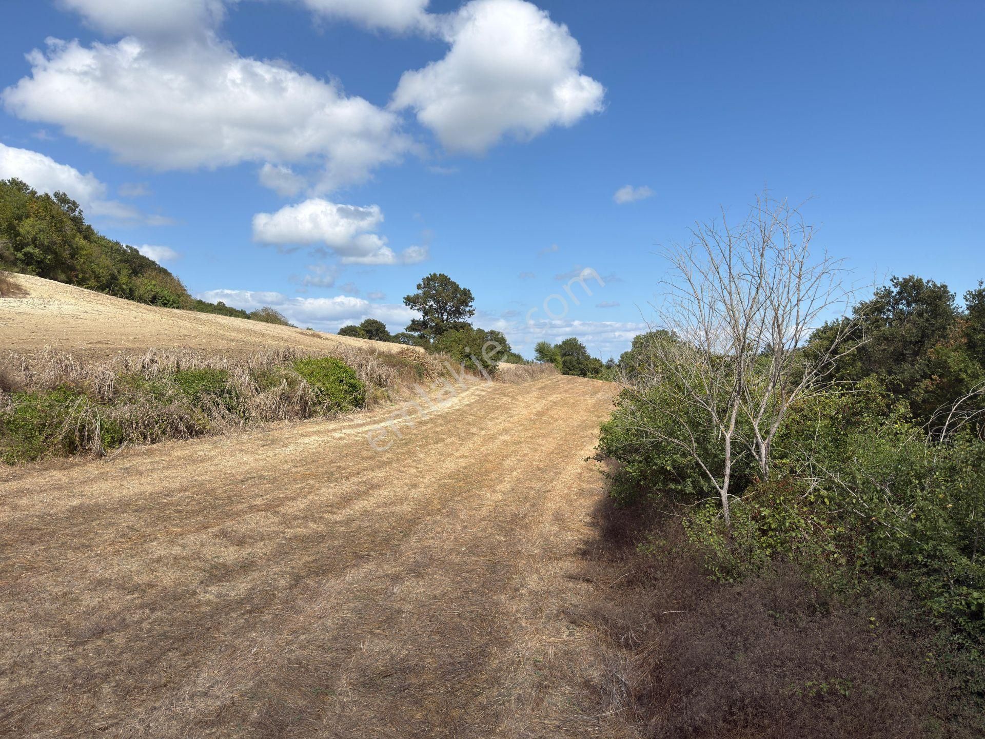 Doğa İle İç İçe Yatırım Fırsatı 3.350 M2 Arsamız Satışta - Görsel 5