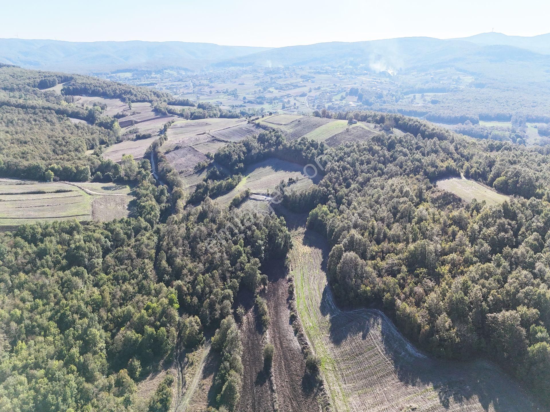 Doğa İle İç İçe Yatırım Fırsatı 3.350 M2 Arsamız Satışta - Görsel 4