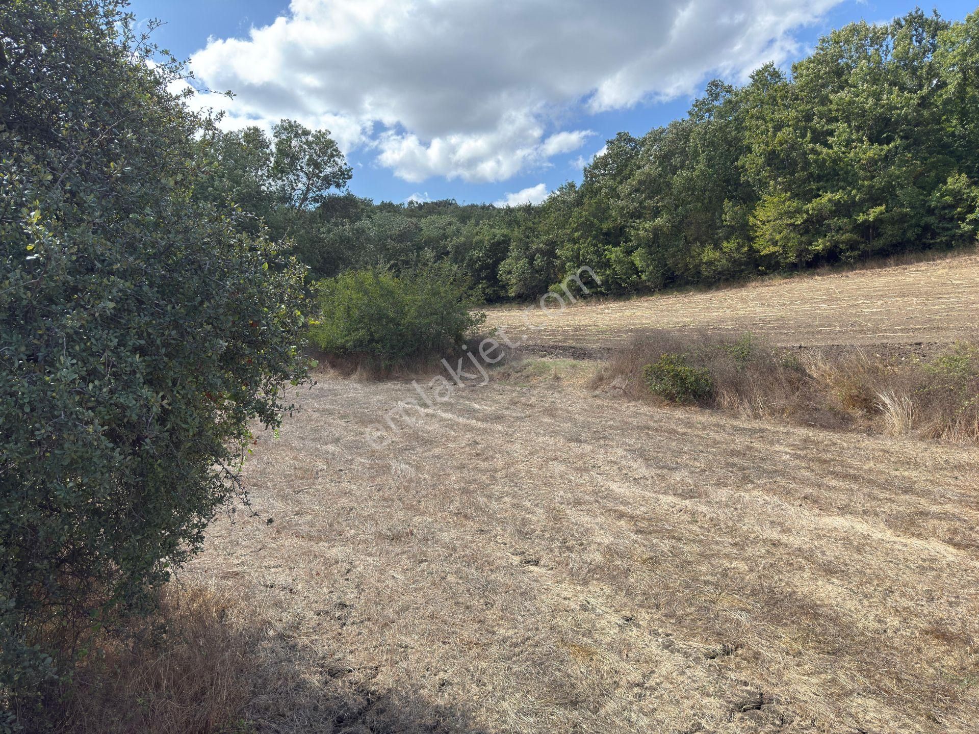 Doğa İle İç İçe Yatırım Fırsatı 3.350 M2 Arsamız Satışta - Görsel 6