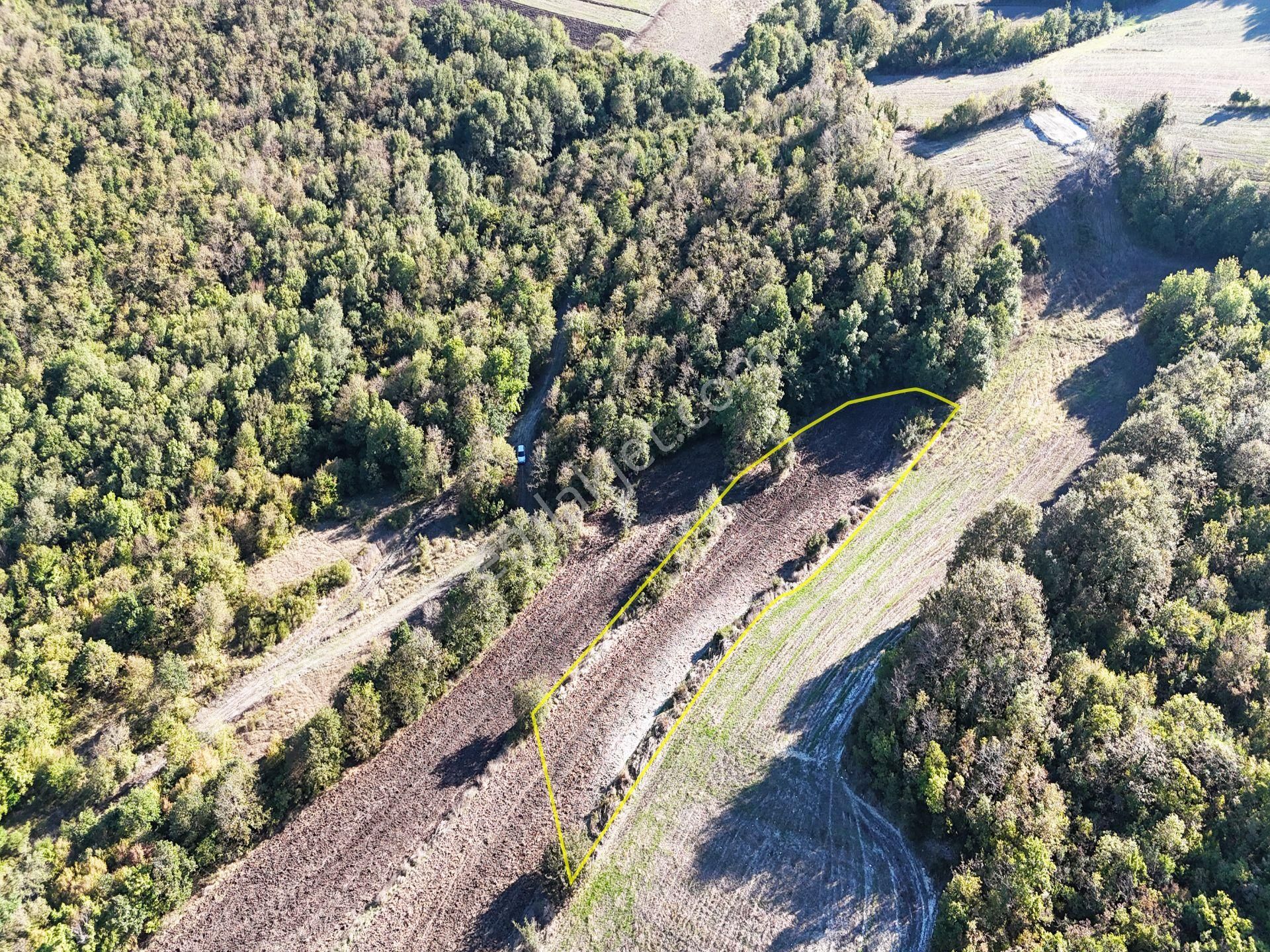 Çatalca Çiftlikköy Satılık Tarla  DOĞA İLE İÇ İÇE YATIRIM FIRSATI 3.350 M2 ARSAMIZ SATIŞTA