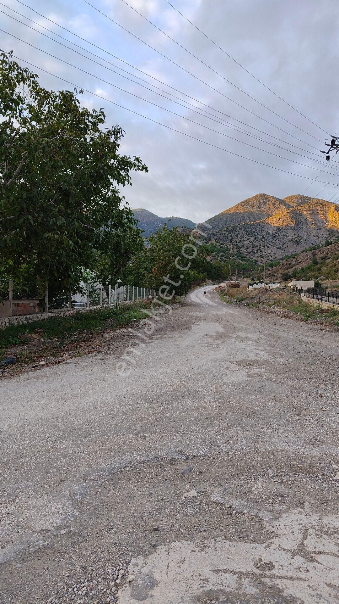 Amasya Merkez Ziyaret Bld. (Aşağı) Satılık Tarla Ziyaret te Satılık Bahçe 