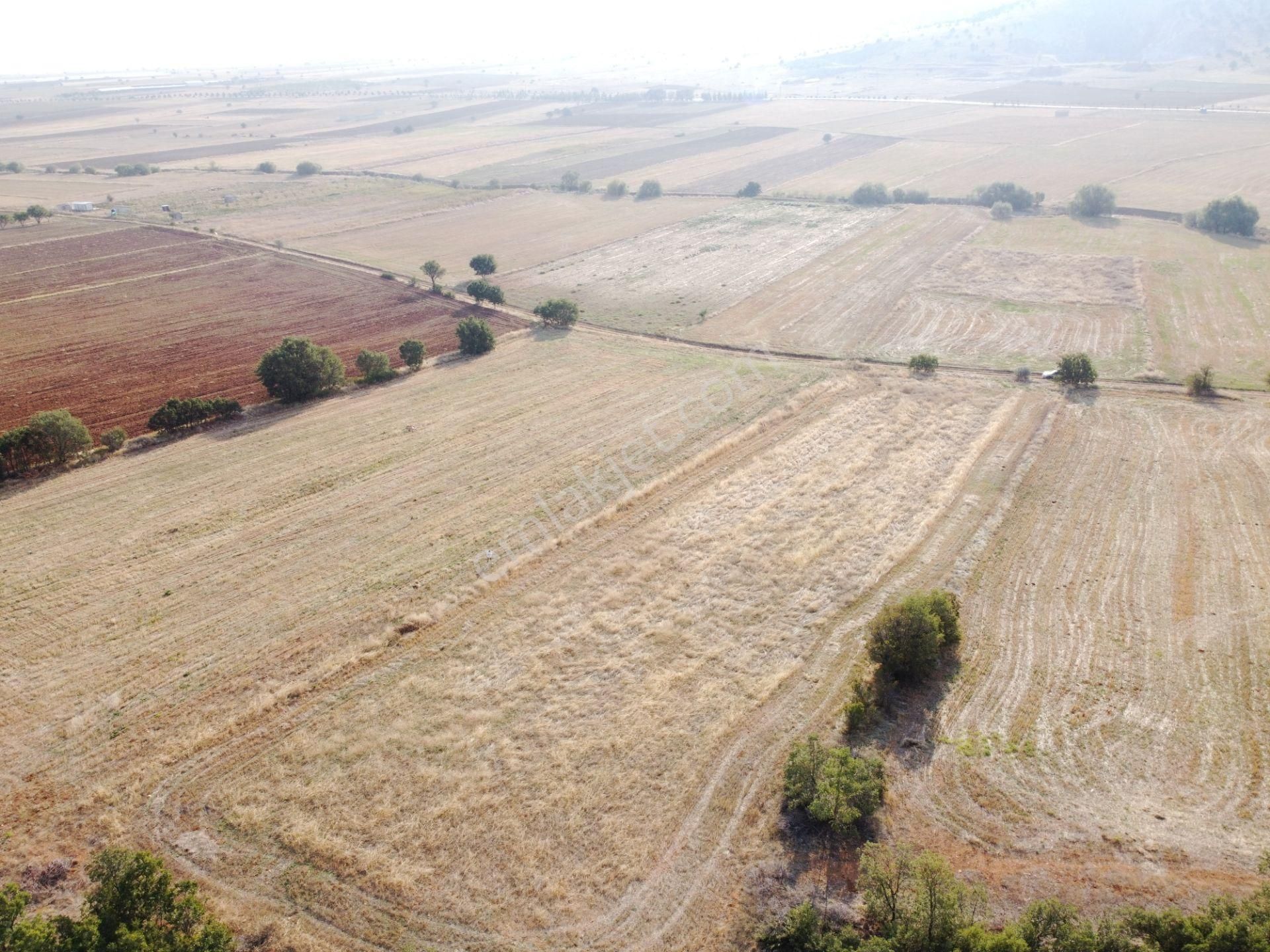 Kadınhanı Şahören Satılık Tarla  KONYA KADINHANI ŞAHÖREN DE 4150M2 TEK TAPU TARLA KARADENİZ EMLAK