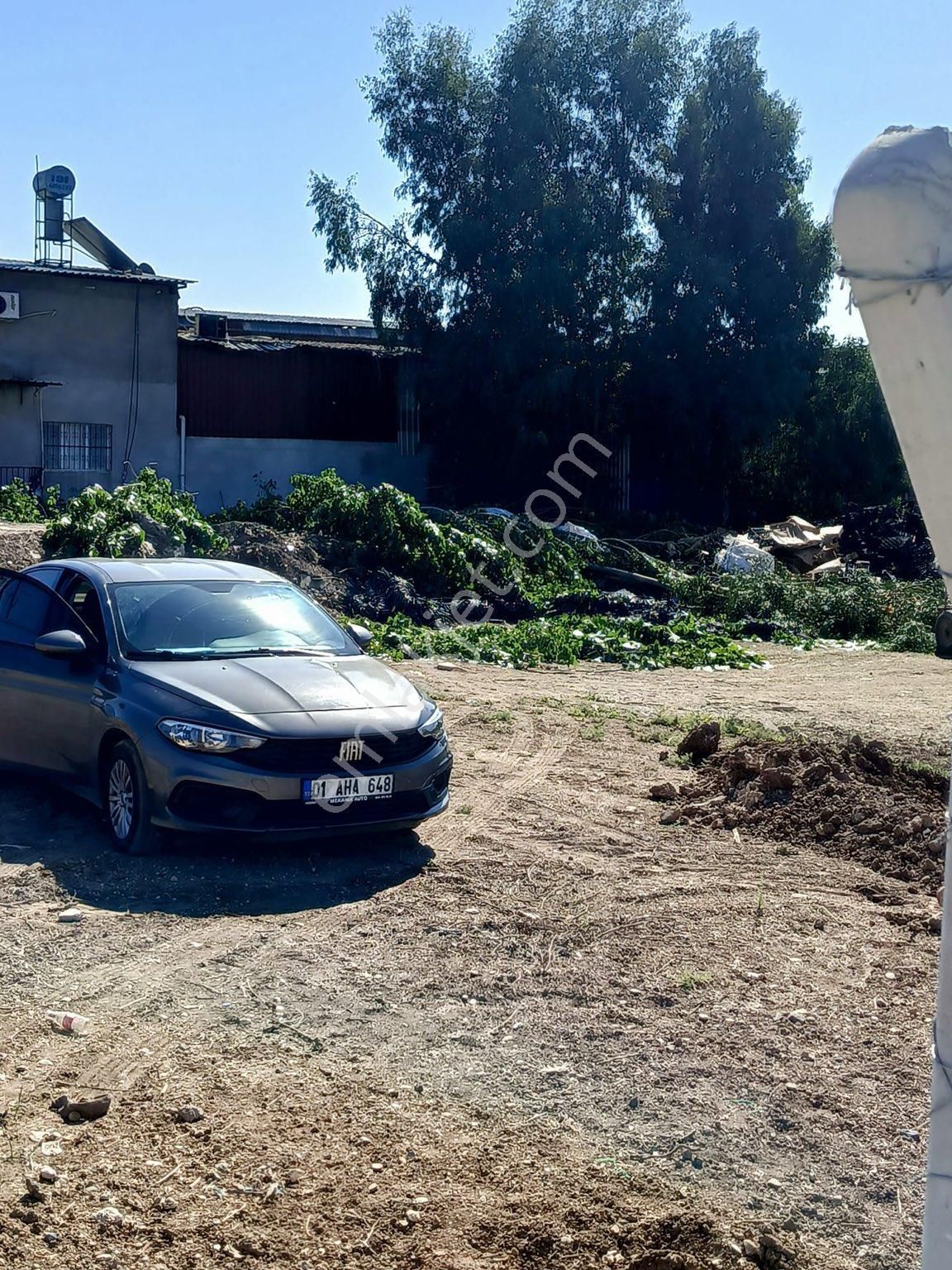 Buyük Dikilide Satıiık Arsa - Görsel 9