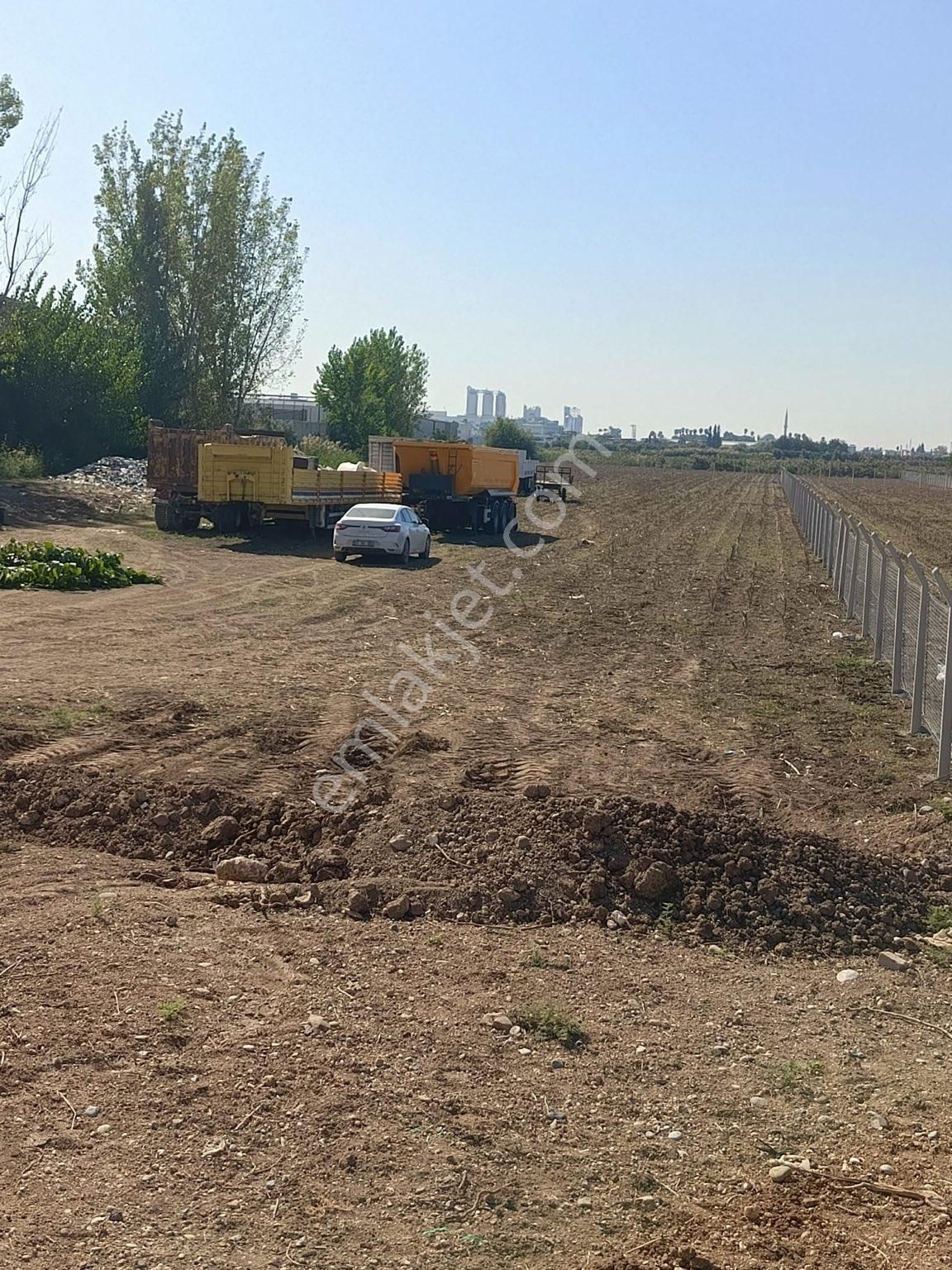 Buyük Dikilide Satıiık Arsa - Görsel 13
