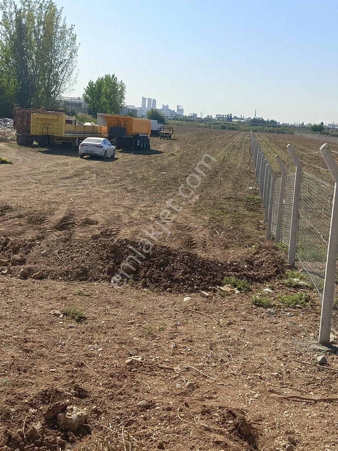 Buyük Dikilide Satıiık Arsa - Görsel 12