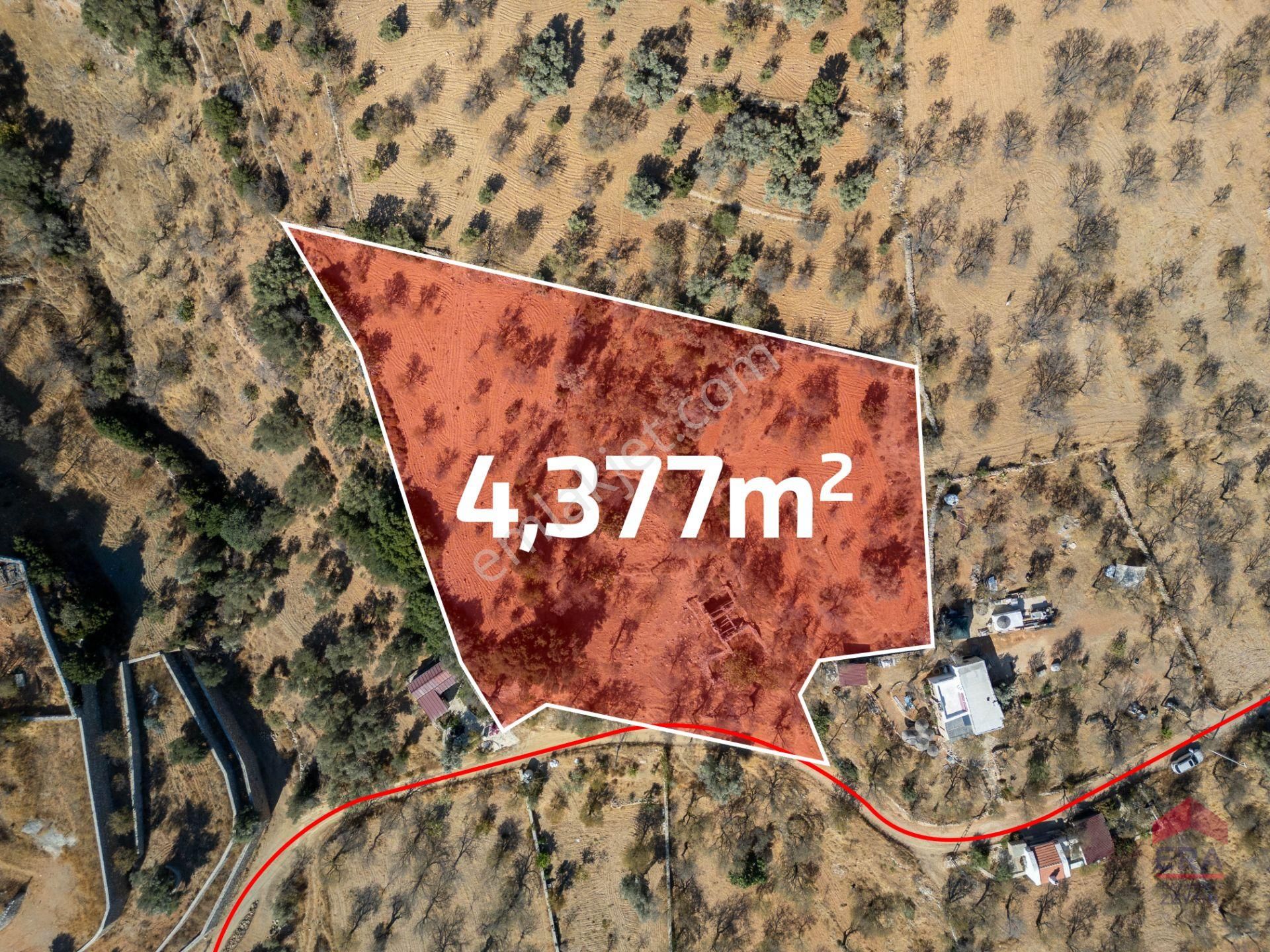 Datça Cumalı Satılık Konut İmarlı Datça Cumalı Köyünde 4.377m2 Satılık Arsa