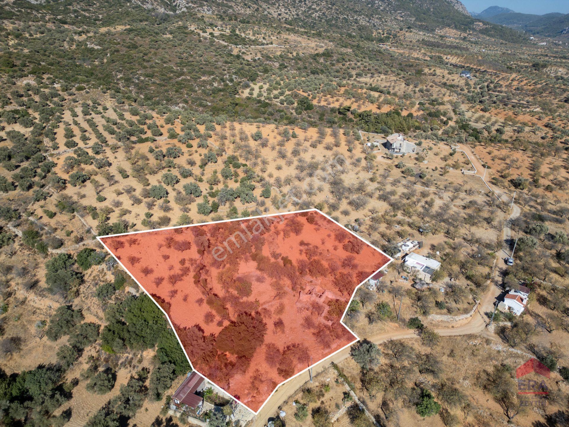 Datça Cumalı’da Konut İmarlı Satılık Arsa – 4.377 M² - Görsel 5