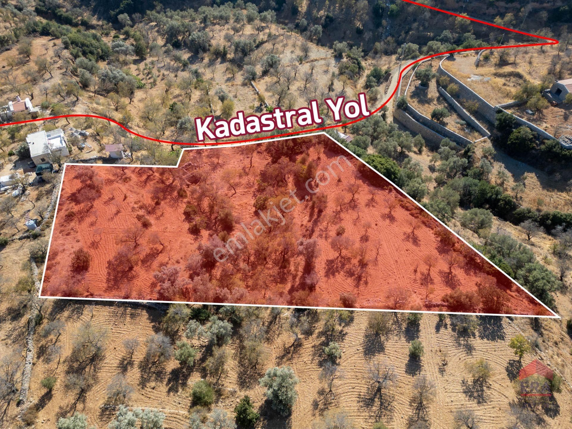 Datça Cumalı Köyünde 4.377m2 Satılık Arsa - Görsel 3