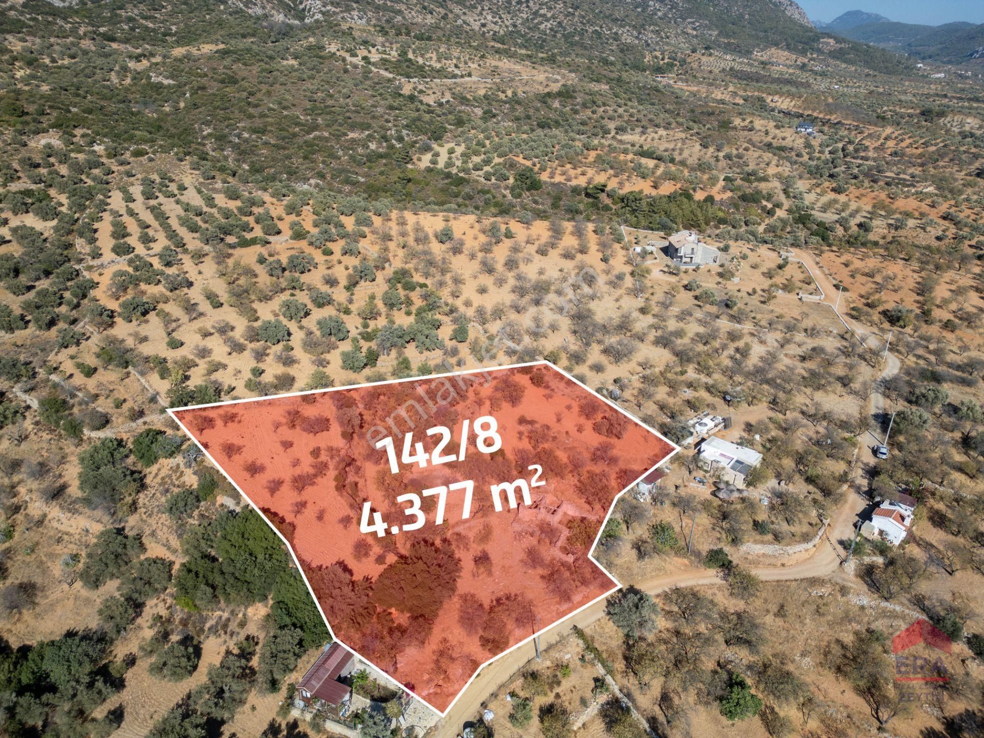 Datça Cumalı Köyünde 4.377m2 Satılık Arsa