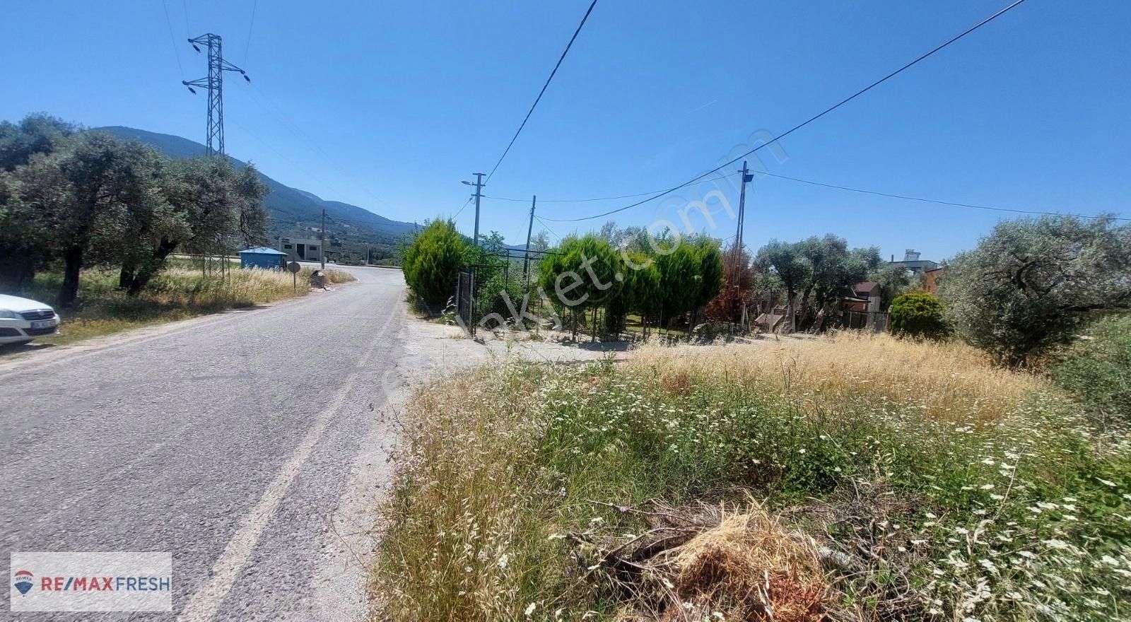 Torbalı Dağkızılca Satılık Tarla Philsa Caddesine Çok Yakın Dağkızılca'da Yol Üstü Zeytinli Tarla