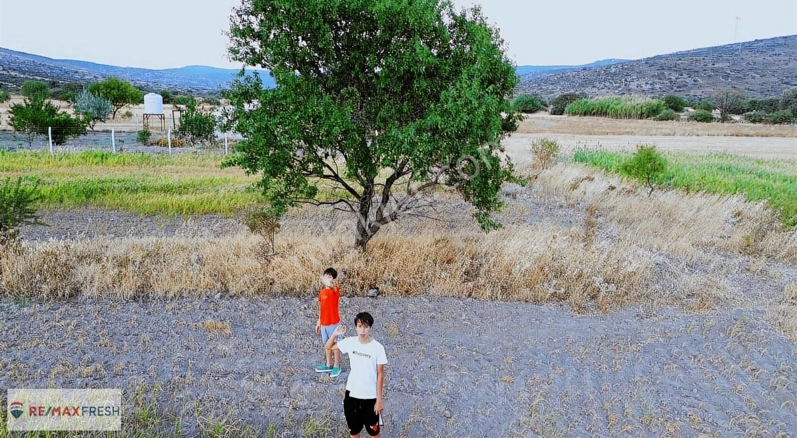 Urla Zeytineli Satılık Tarla Çeşme Yeni Proje Alanı İmar Bölgesi Alaşarda Tek Parsel