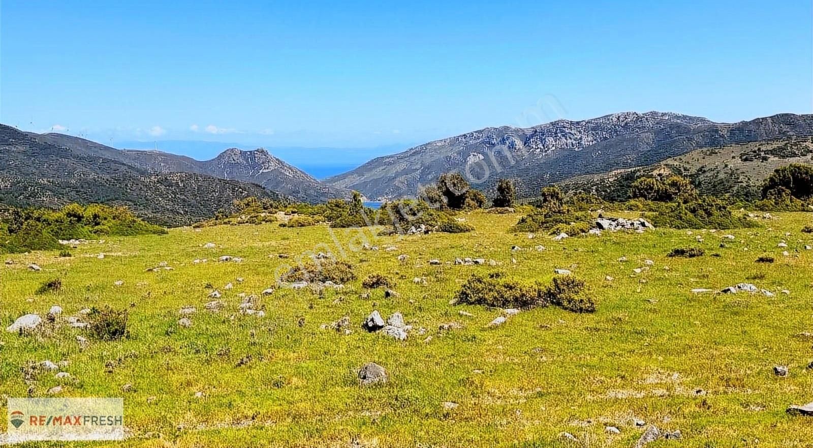 Karaburun Yayla Satılık Tarla Doğa ve Deniz Manzaralı 10 Dönüm Arazi / Yaylaköy - Karaburun