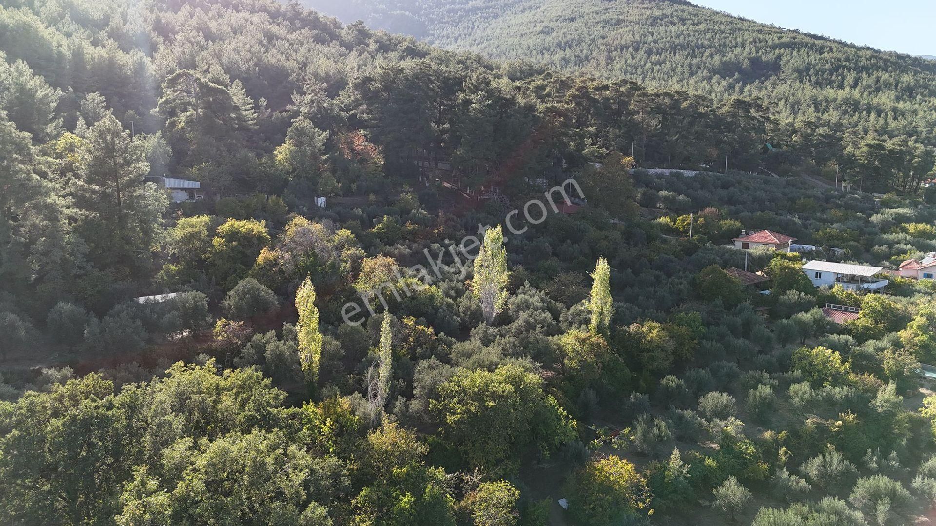 Karacasu Büyükdağlı Satılık Müstakil Ev DÖNERTAŞ EMLAKTAN KARACASU YAYLA EVİ