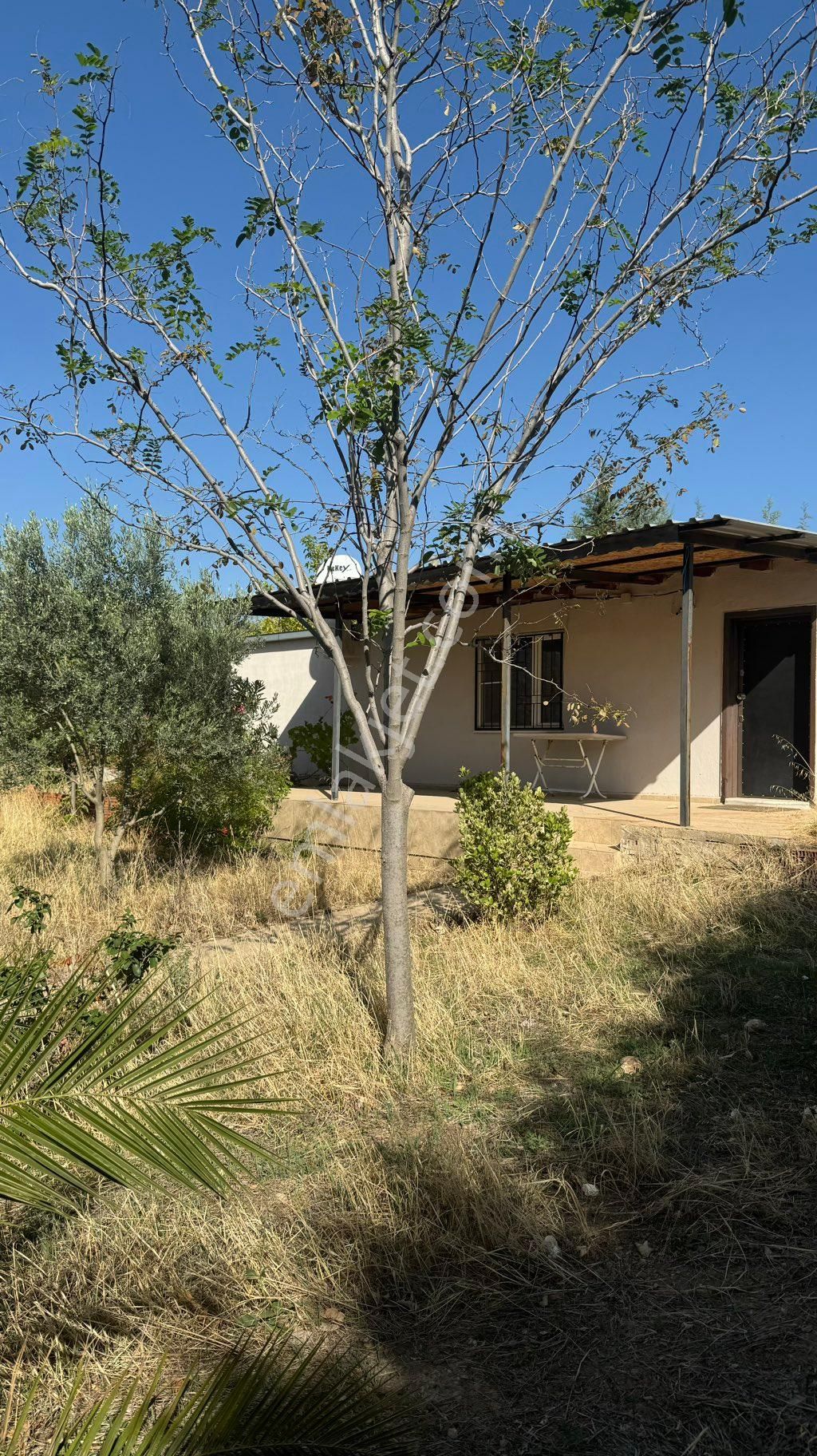 Manisa Şehzadeler Karaoglanlı Mh De İmar Sınırında Satılık 9,400 M2 Zeytinlik + Ev - Görsel 4