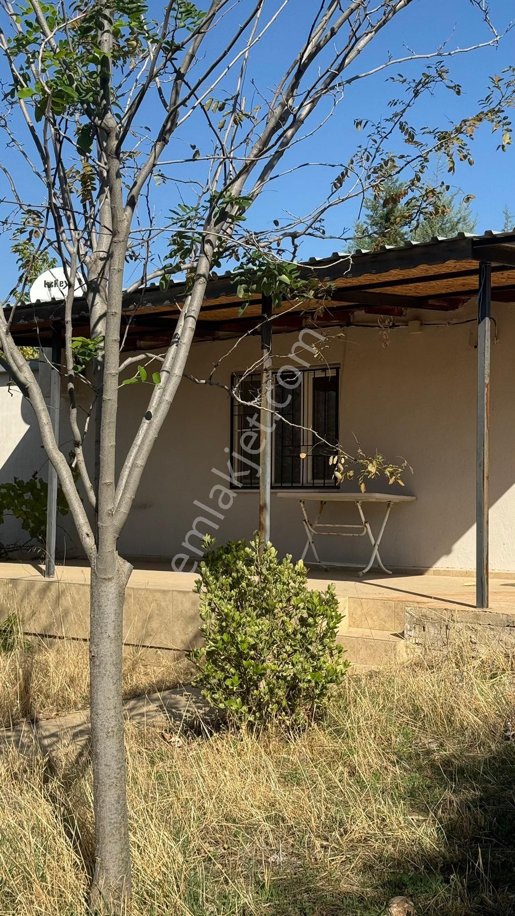 Manisa Şehzadeler Karaoglanlı Mh De İmar Sınırında Satılık 9,400 M2 Zeytinlik + Ev - Görsel 7