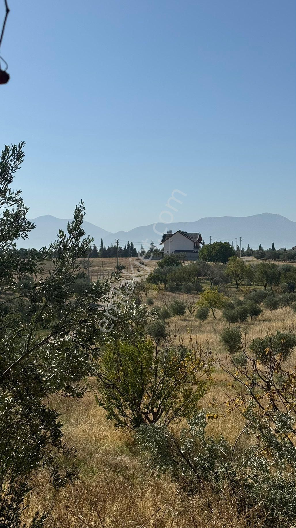 Manisa Şehzadeler Karaoglanlı Mh De İmar Sınırında Satılık 9,400 M2 Zeytinlik + Ev - Görsel 35