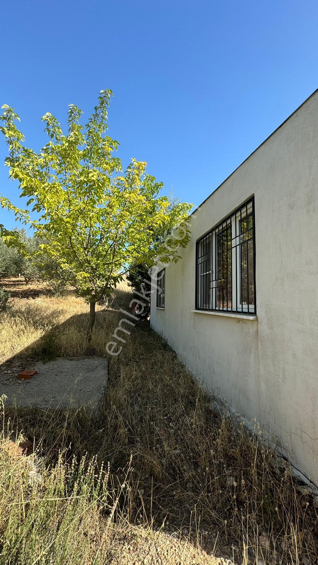 Manisa Şehzadeler Karaoglanlı Mh De İmar Sınırında Satılık 9,400 M2 Zeytinlik + Ev - Görsel 29