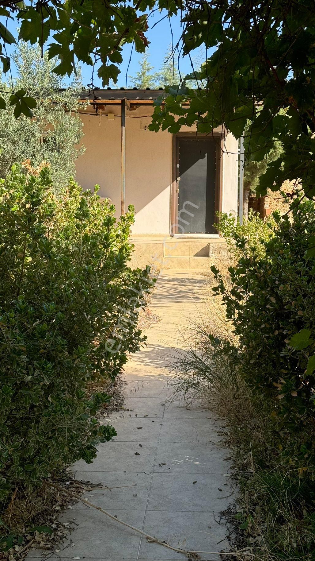 Manisa Şehzadeler Karaoglanlı Mh De İmar Sınırında Satılık 9,400 M2 Zeytinlik + Ev - Görsel 30