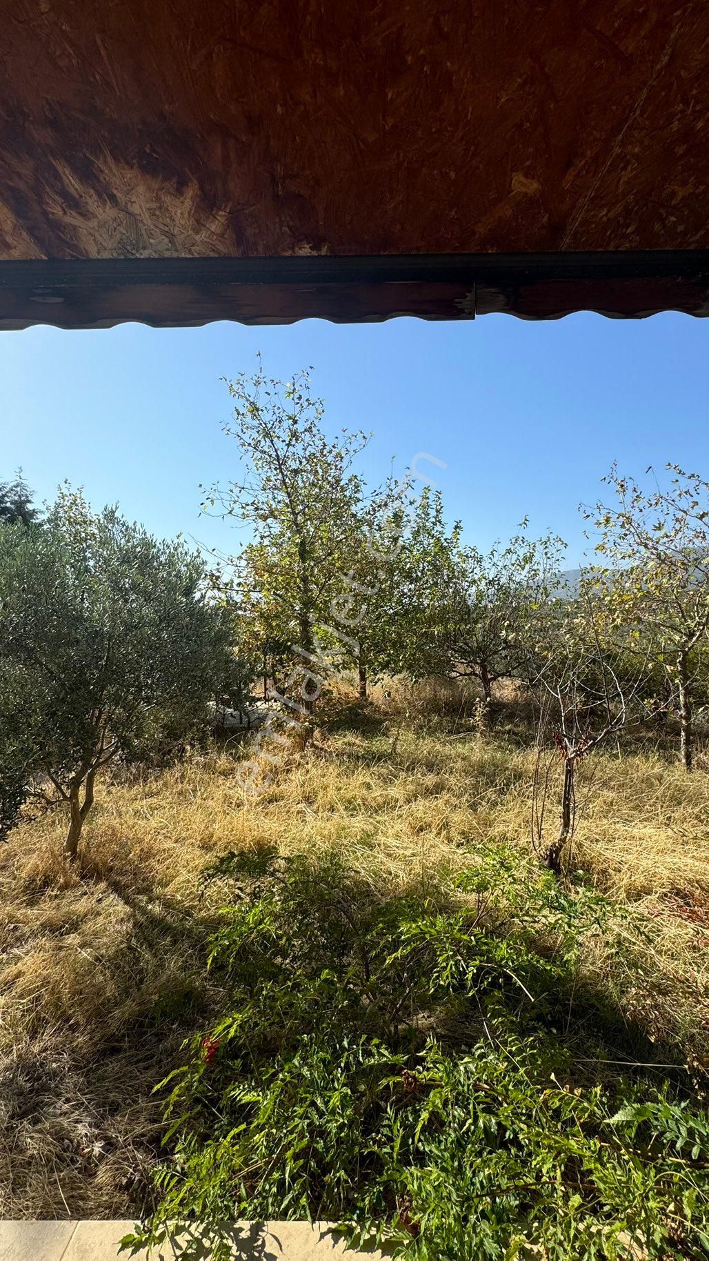 Manisa Şehzadeler Karaoglanlı Mh De İmar Sınırında Satılık 9,400 M2 Zeytinlik + Ev - Görsel 28