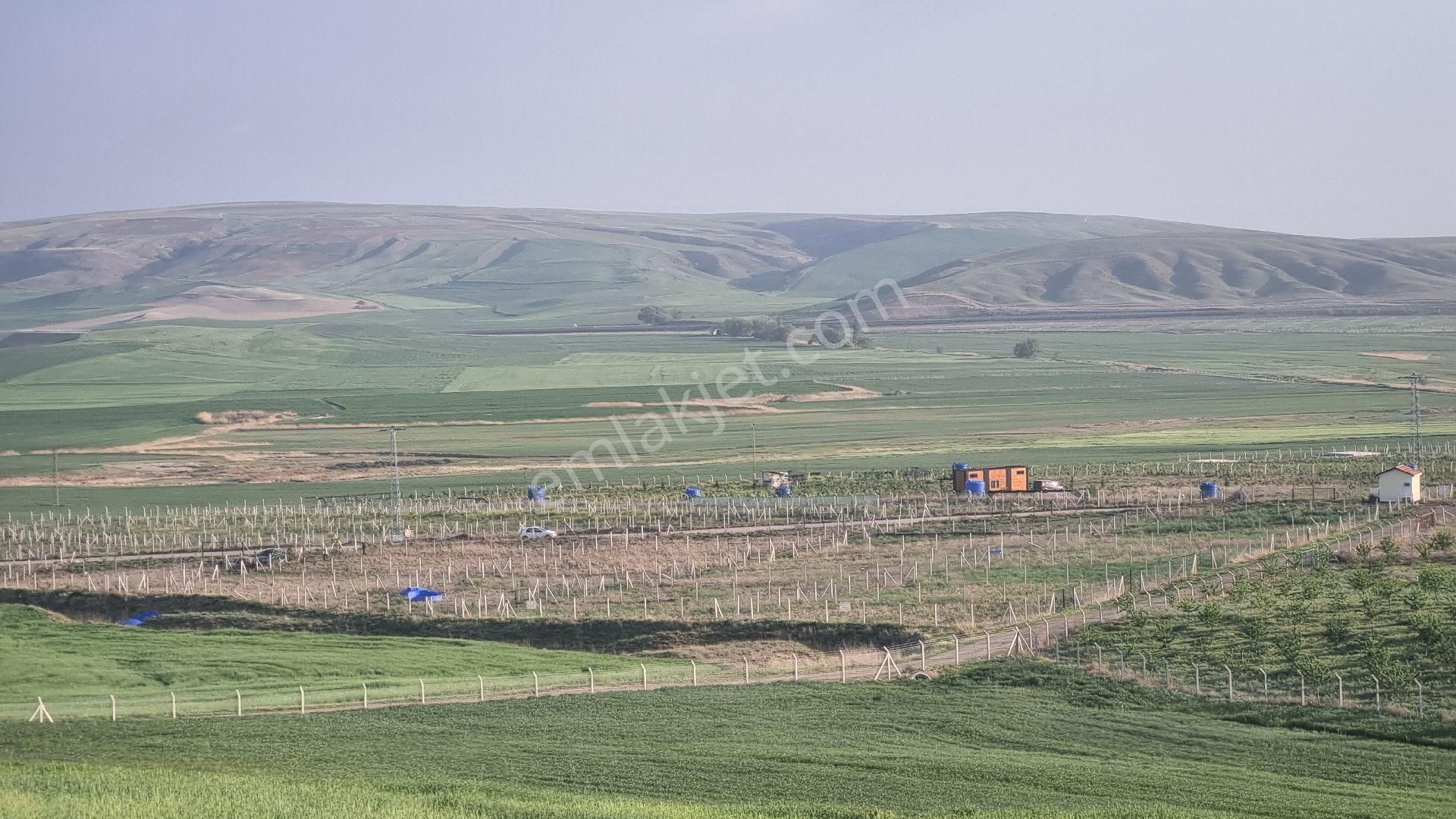 Gölbaşı Bağiçi Satılık Tarla ANKARA GÖLBAŞI BAĞİÇİNDE 500 METRE ELEKTİRİK SU YOL TEL İÇİNDE ARSA