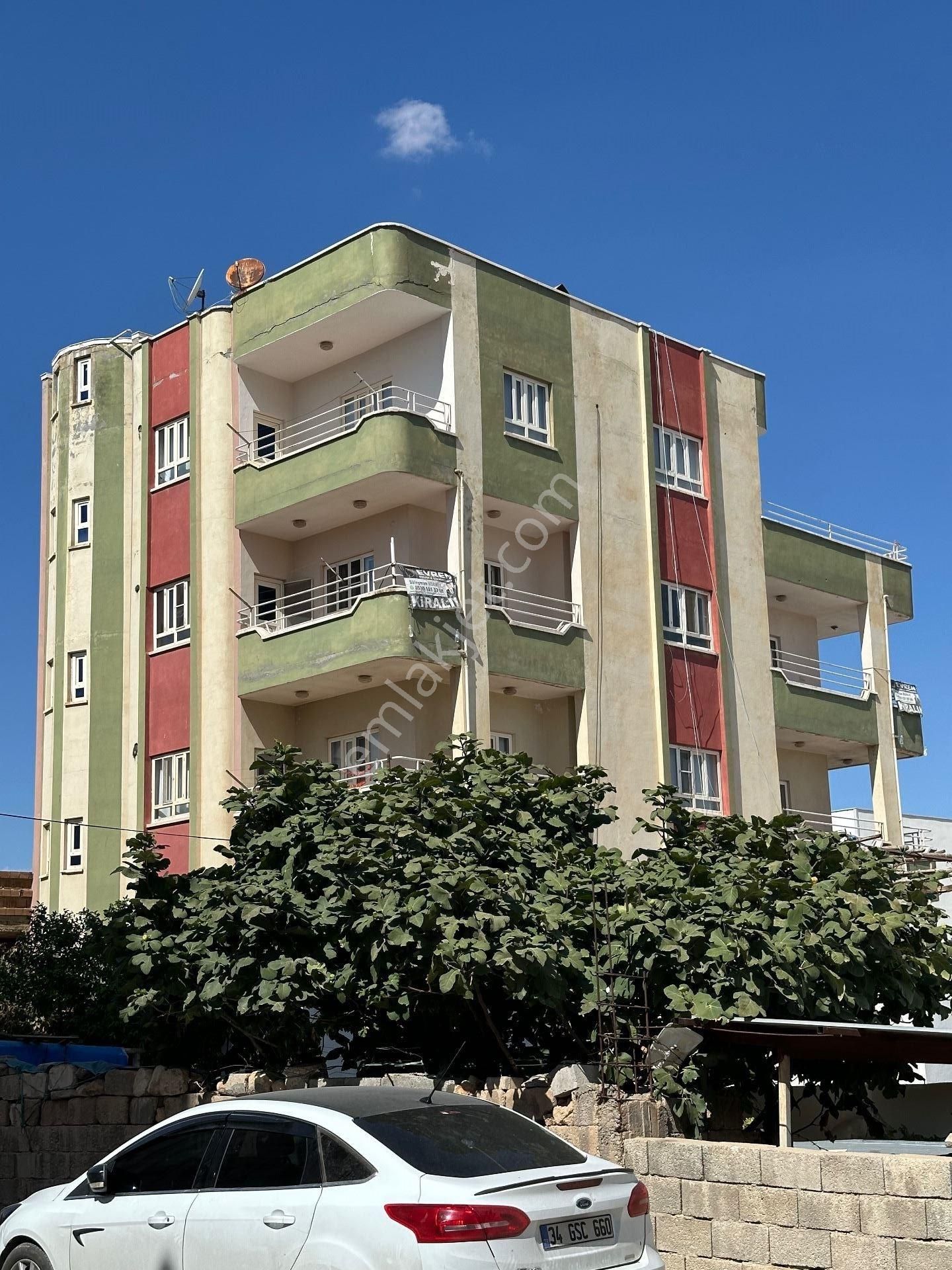 Nusaybin 8 Mart Kiralık Daire 8 Mart Mahallesinde Kiralık 3+1