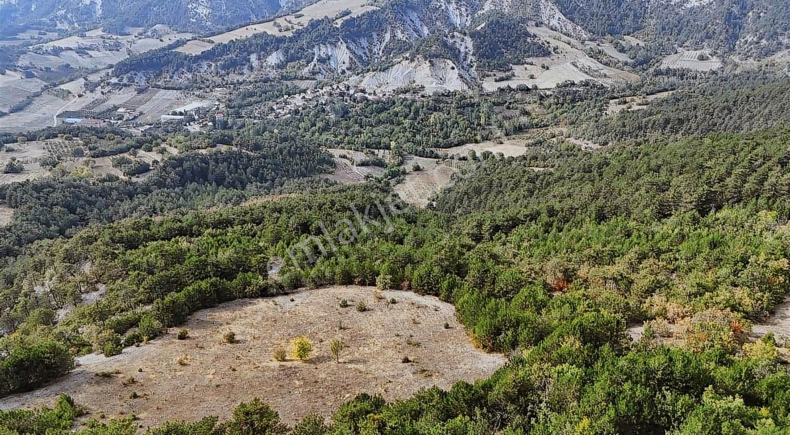 Göynük Kaşıkçışeyhler Köyü (Merkez) Satılık Bağ & Bahçe Yatırımlık fırsat arazi konumu mükemmel