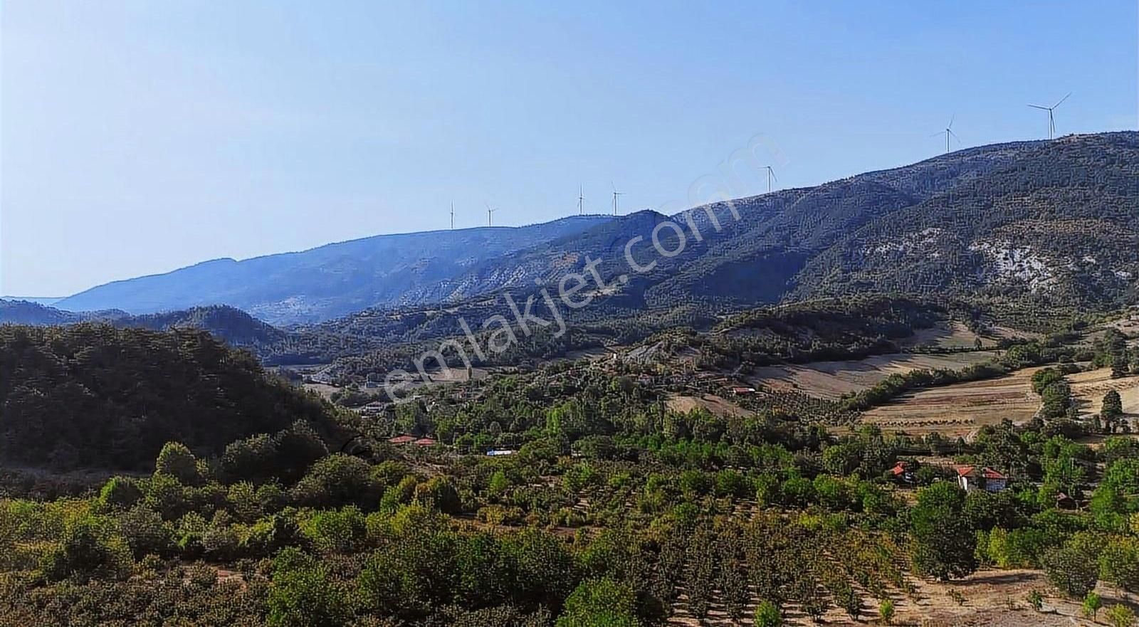 Göynük Kaşıkçışeyhler Köyü (Yağcılar) Satılık Bağ & Bahçe İmarlı fırsat arazi