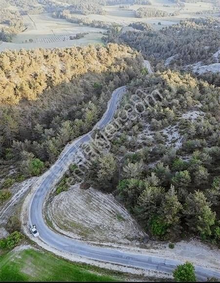 Göynük Kılavuzlar Köyü Satılık Tarla Fırsat arazi asvalta sıfır