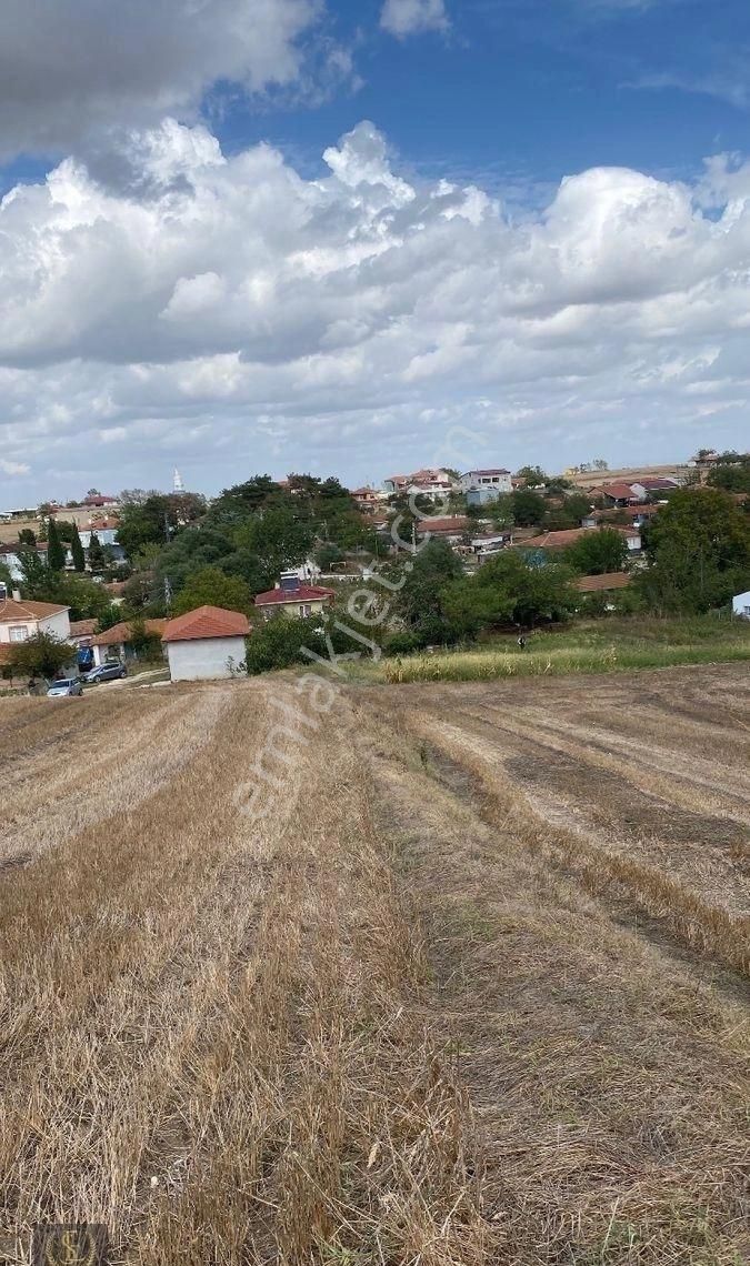 Tekirdağ Saray Göçerler Köyü 100/50 Arsa Niteliğinde Köyün Dibinde