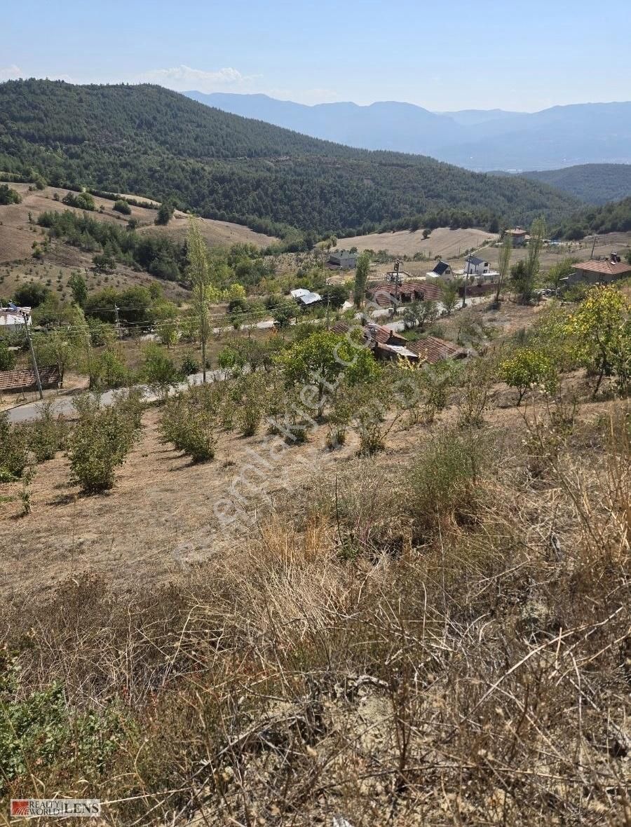 Pamukova Şahmelek Satılık Konut İmarlı PAMUKOVA MANZARALI İMARLI 1 DÖNÜM ARSA!!!