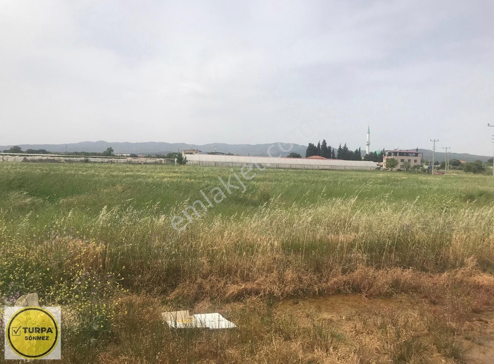 Turpa Sönmezde Gölcükler Mezarlığına Yakın Kiralık Tarla