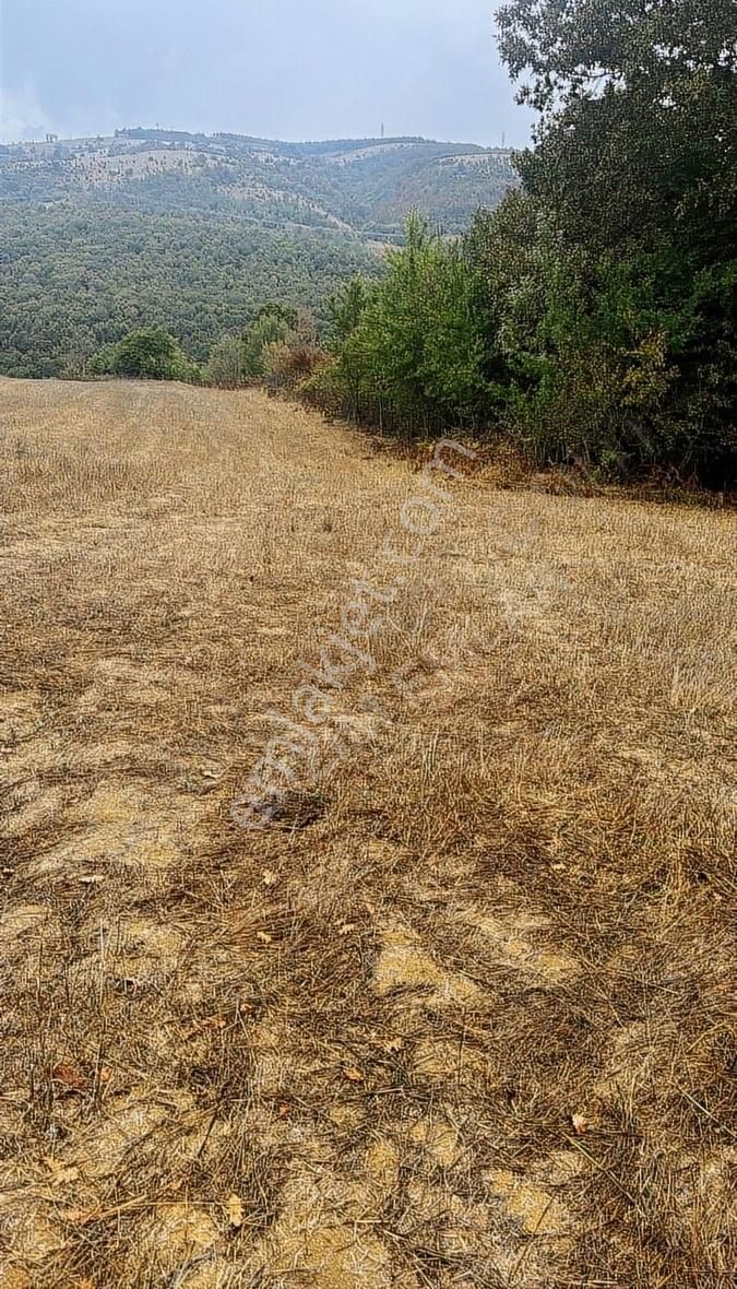 Körfez Kalburcu Satılık Villa İmarlı BİZİM EMLAKTAN SATILIK // KALBURCU KÖYÜ ARSA