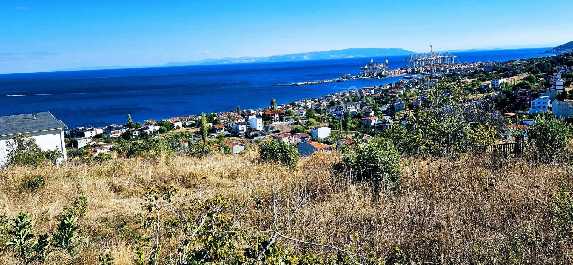 Süleymanpaşa Barbaros Satılık Konut İmarlı  TEKİRDAĞ BARBAROSTA ALTIN DEĞERİNDE YATIRIM FIRSATI 25 DAİRELİK KUPON ARSA