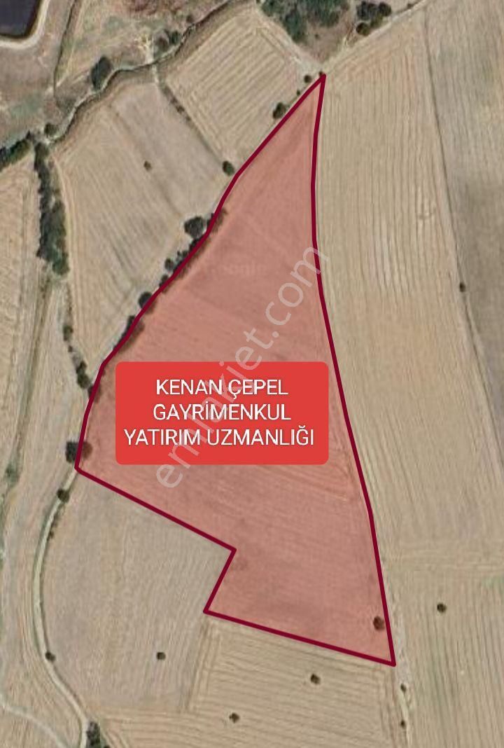 Çanakkale Ezine Üvecik Köyü Tarım Arazi 38 Dönüm 742.59 M2 Ticari Arazi Olur Hayvan Çiftliği Olur - Görsel 3