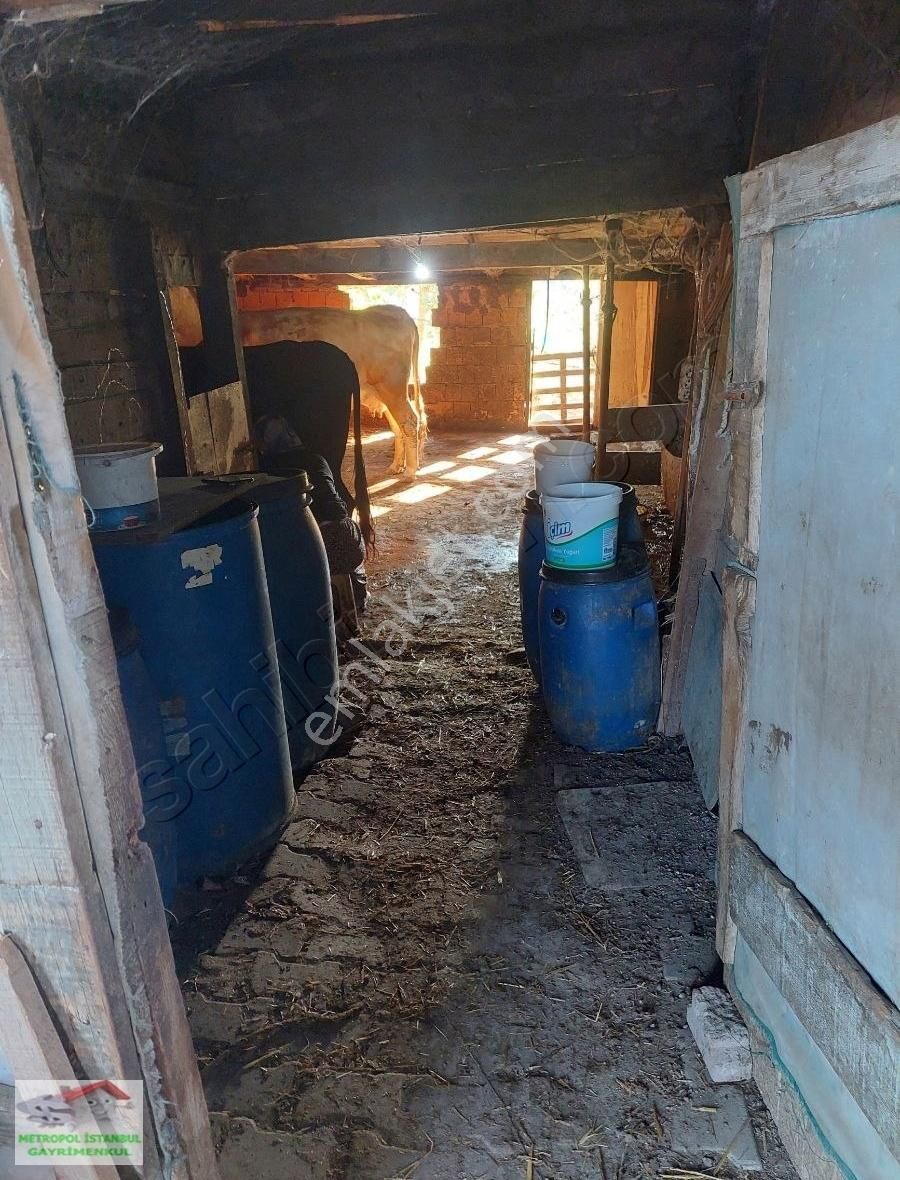 Tayakadın Türkköşe De Satılık Çiftlik - Görsel 9