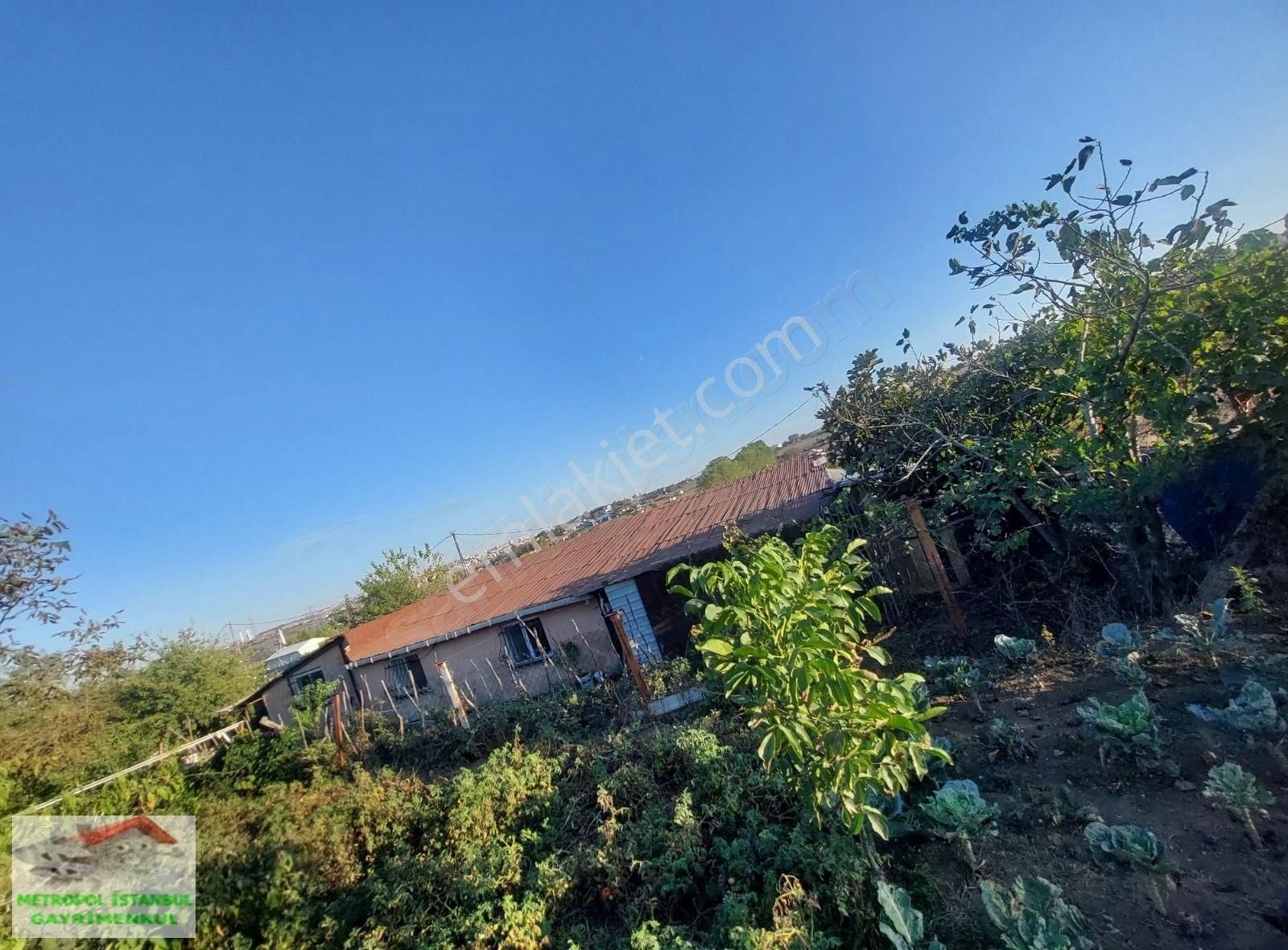 Tayakadın Türkköşe De Satılık Çiftlik - Görsel 22