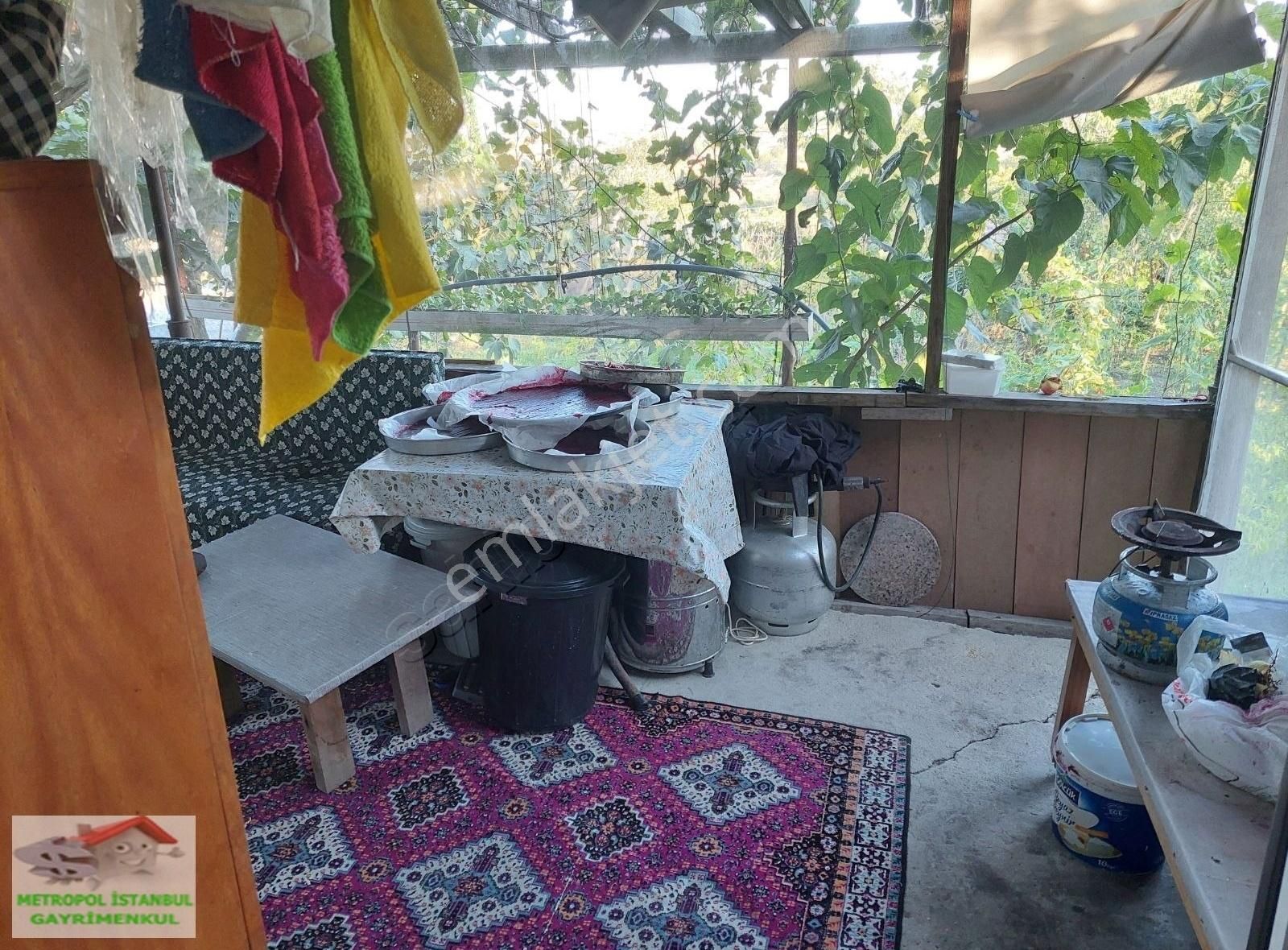 Tayakadın Türkköşe De Satılık Çiftlik - Görsel 13