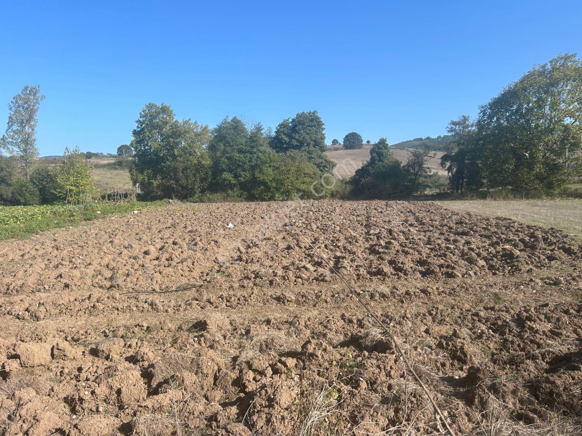 Kocaeli Karamürsel Kızderbent Mahallesi %5 İmarlı 1611 M2 Satılık Tarla - Görsel 4