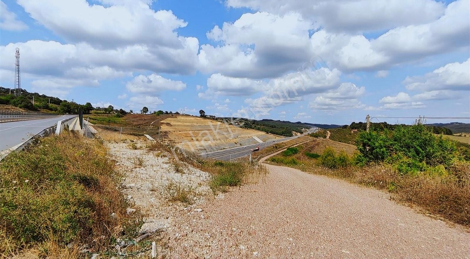 İzmit Sapakpınar Satılık Tarla Akyüz Gayrimenkul'den 1762 M2 Bakımlı Fındıklık