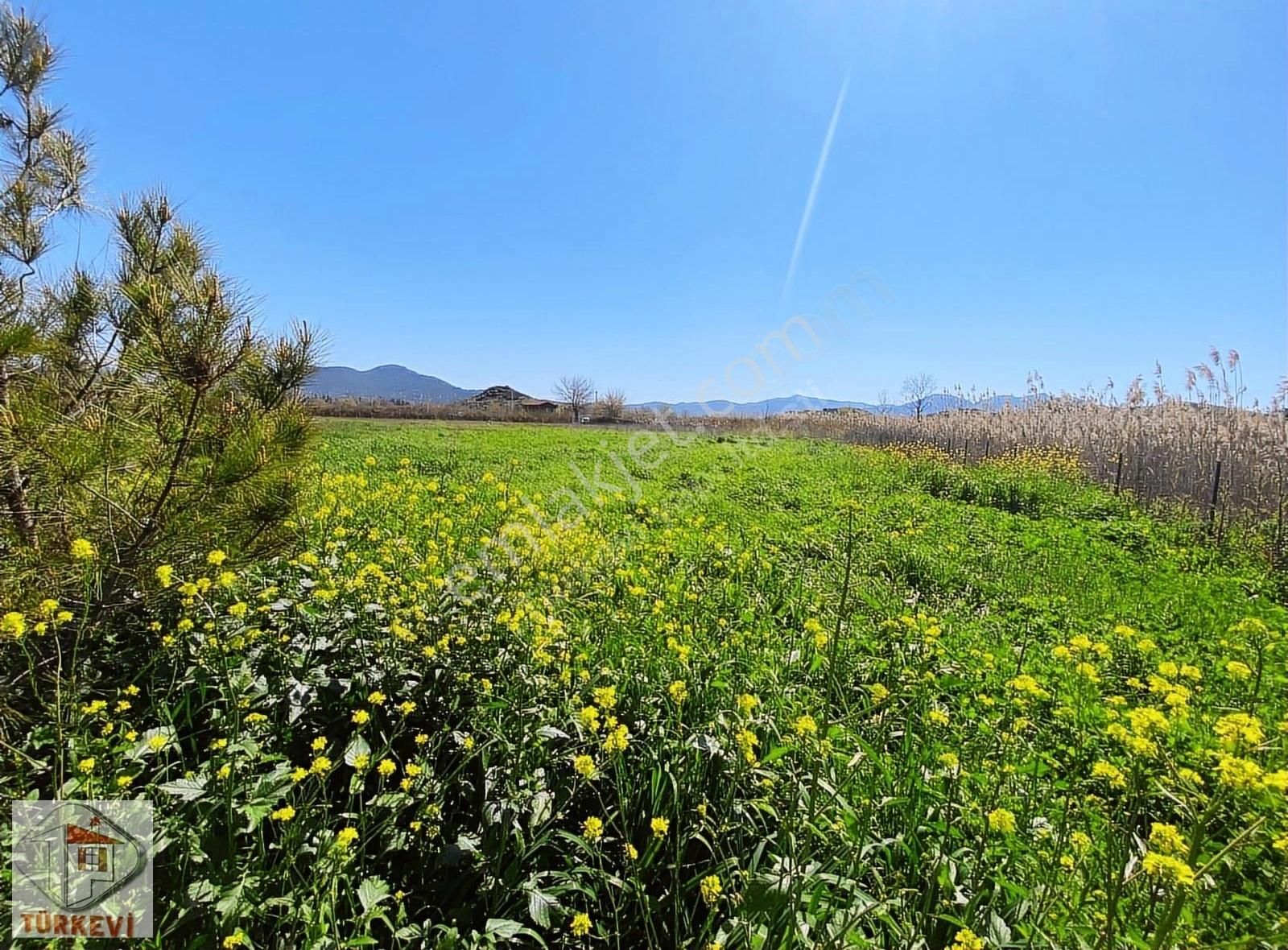 Dalyan Mahallesi,eskiköy Mevkiinde Satılık Müstakil Köyevi(ekk02) - Görsel 8