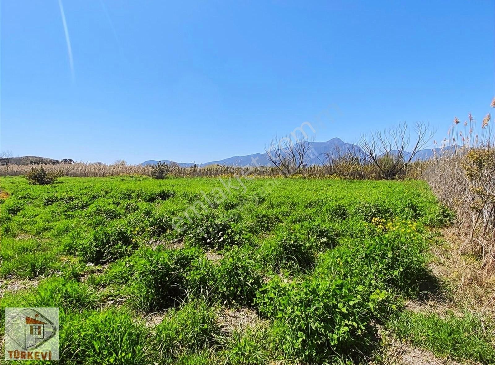 Dalyan Mahallesi,eskiköy Mevkiinde Satılık Müstakil Köyevi(ekk02) - Görsel 27