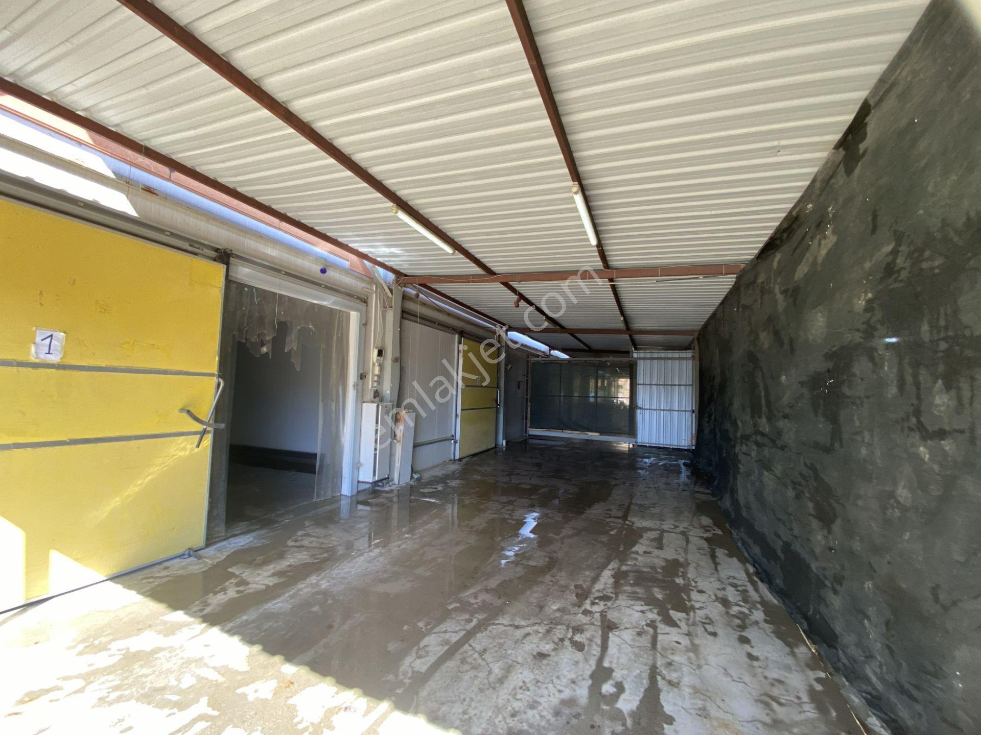 Kiralık Depo Yada Soğuk Hava Deposu (ayrı Oda Olarak) Ksd15 - Görsel 4