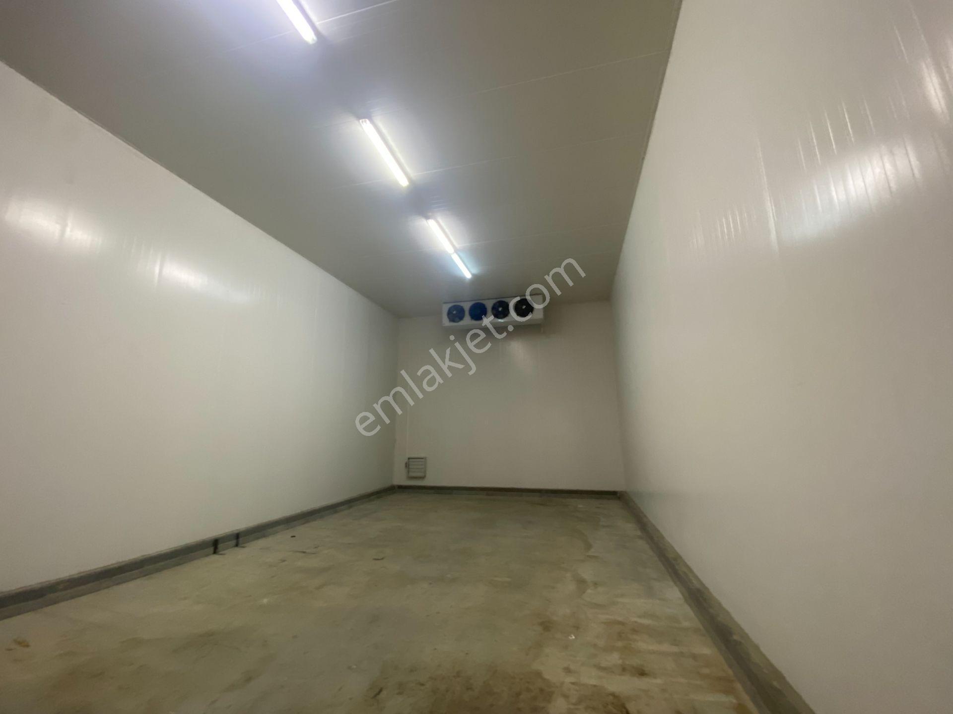 Kiralık Depo Yada Soğuk Hava Deposu (ayrı Oda Olarak) Ksd15 - Görsel 2