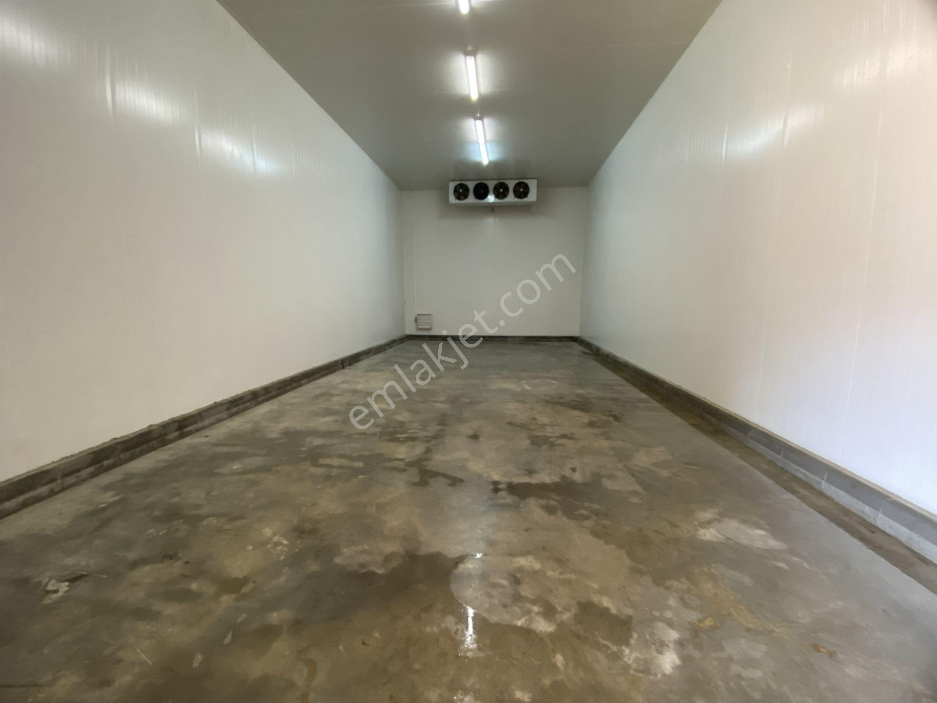 Kiralık Depo Yada Soğuk Hava Deposu (ayrı Oda Olarak) Ksd15 - Görsel 7