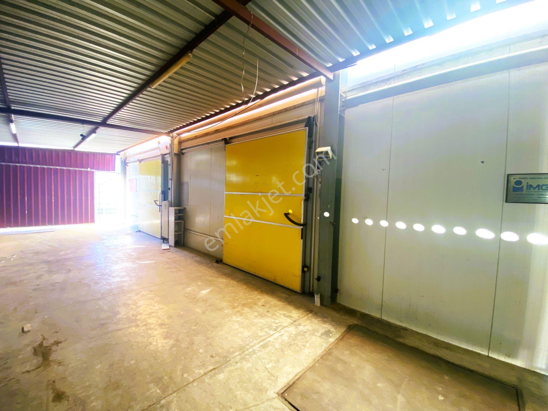 Kiralık Depo Yada Soğuk Hava Deposu (ayrı Oda Olarak) Ksd15 - Görsel 3