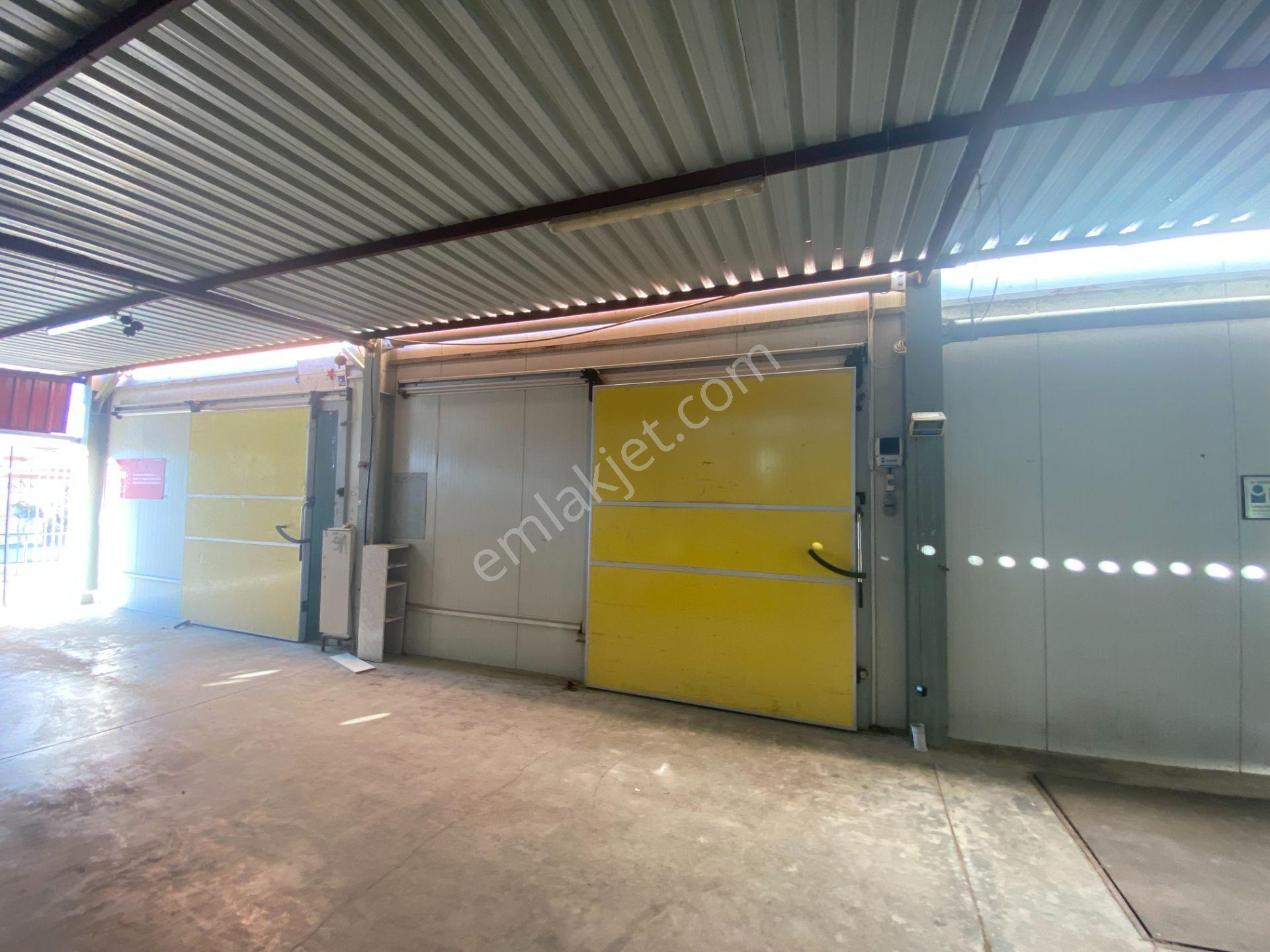 Kiralık Depo Yada Soğuk Hava Deposu (ayrı Oda Olarak) Ksd15
